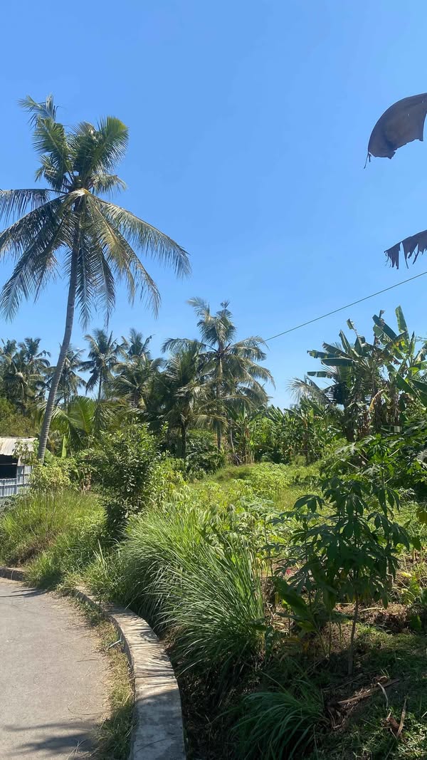 Dijual Jual Tanah Sawah Strategis di Karangtengah Cianjur