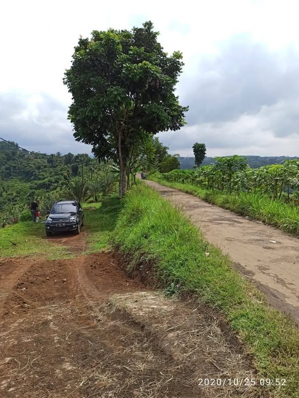Dijual Cepat Tanah Kebun 1 Ha Pinggir Jalan di Nagrak