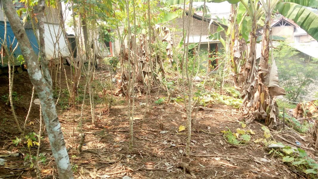 Dijual Tanah 100m di Cibadak Sukabumi Akses Motor Murah