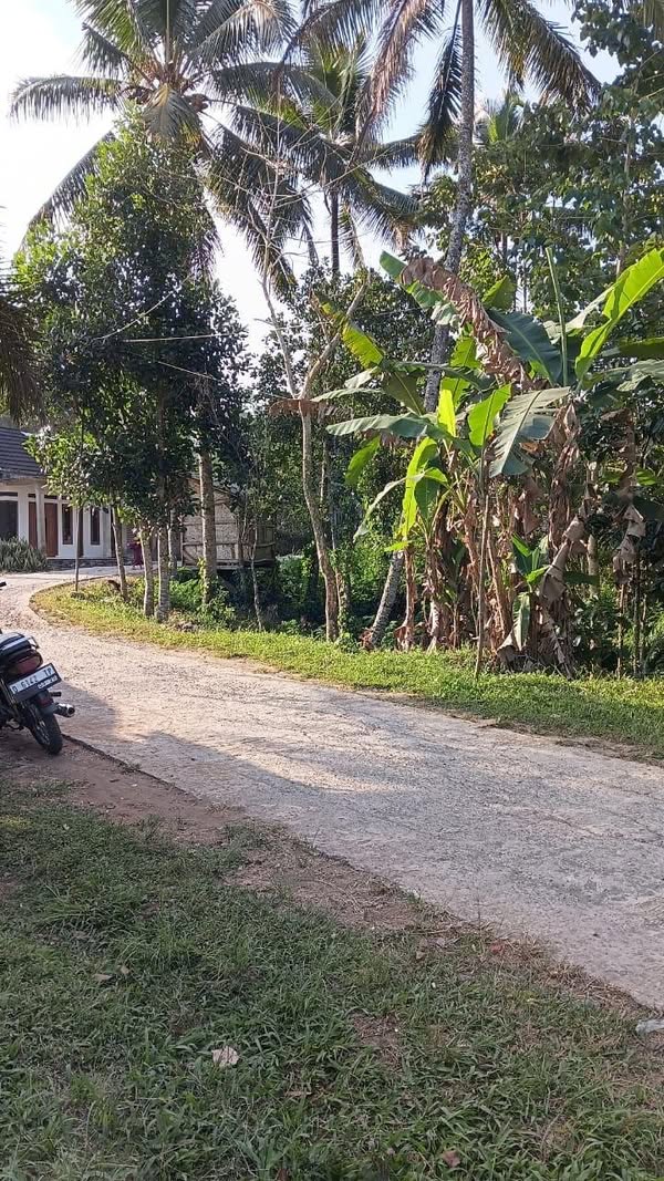 Dijual Tanah Murah 1840m SHM Akses Mobil di Jampangtengah