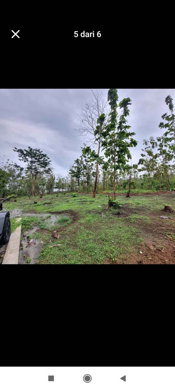 Dijual Cepat Tanah View Laut Geopark Ciletuh Sukabumi
