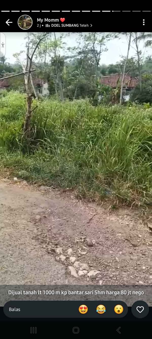 Dijual Tanah 1000m SHM Akses Mobil di Pangles Sukabumi Murah