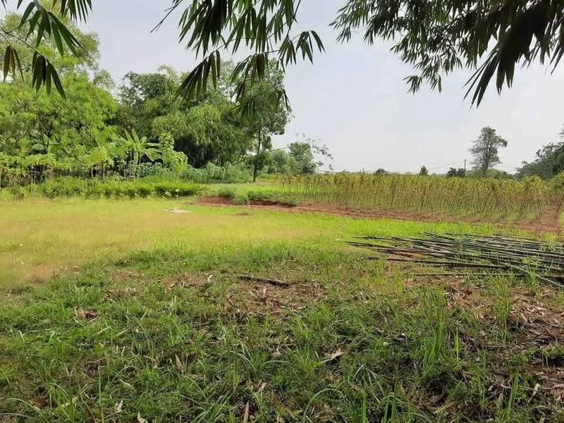 Dijual Jual Tanah Murah 950m di Jambe Daru Tigaraksa