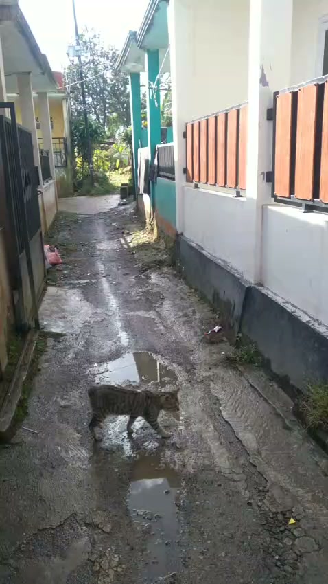 Dijual Jual Rumah Murah 130 Juta Nego di Ciapus Bogor