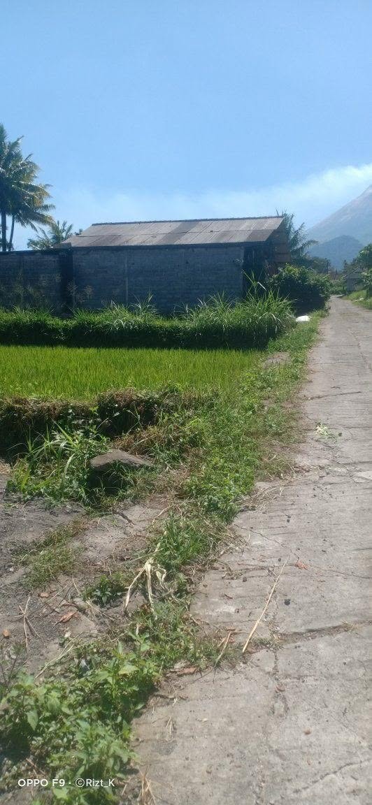 Dijual Tanah Sawah Strategis Pakem Utara Sleman 378m