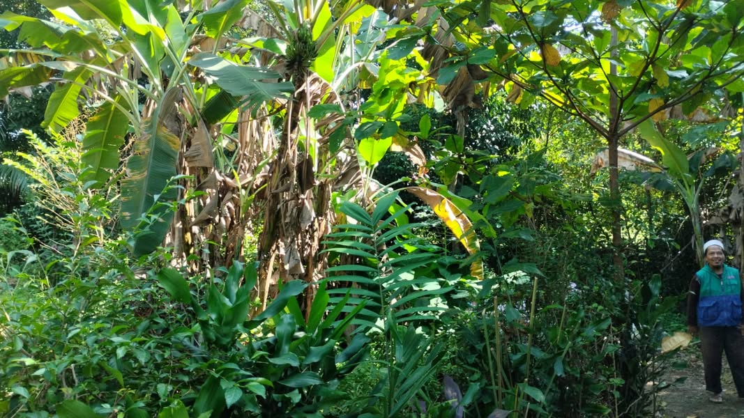 Dijual Jual Tanah Murah 1015m2 SHM di Sasak Panjang Bogor