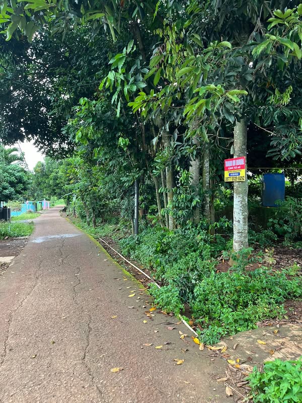 Dijual Jual Tanah Strategis Samping Tol Sadang Purwakarta