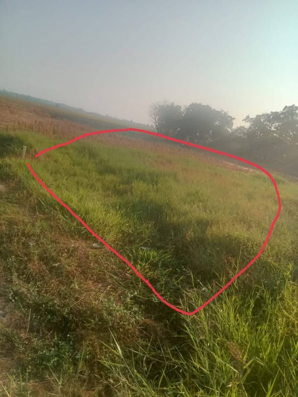 Dijual Jual Tanah Kavling Murah Tarumajaya Bekasi 72m²