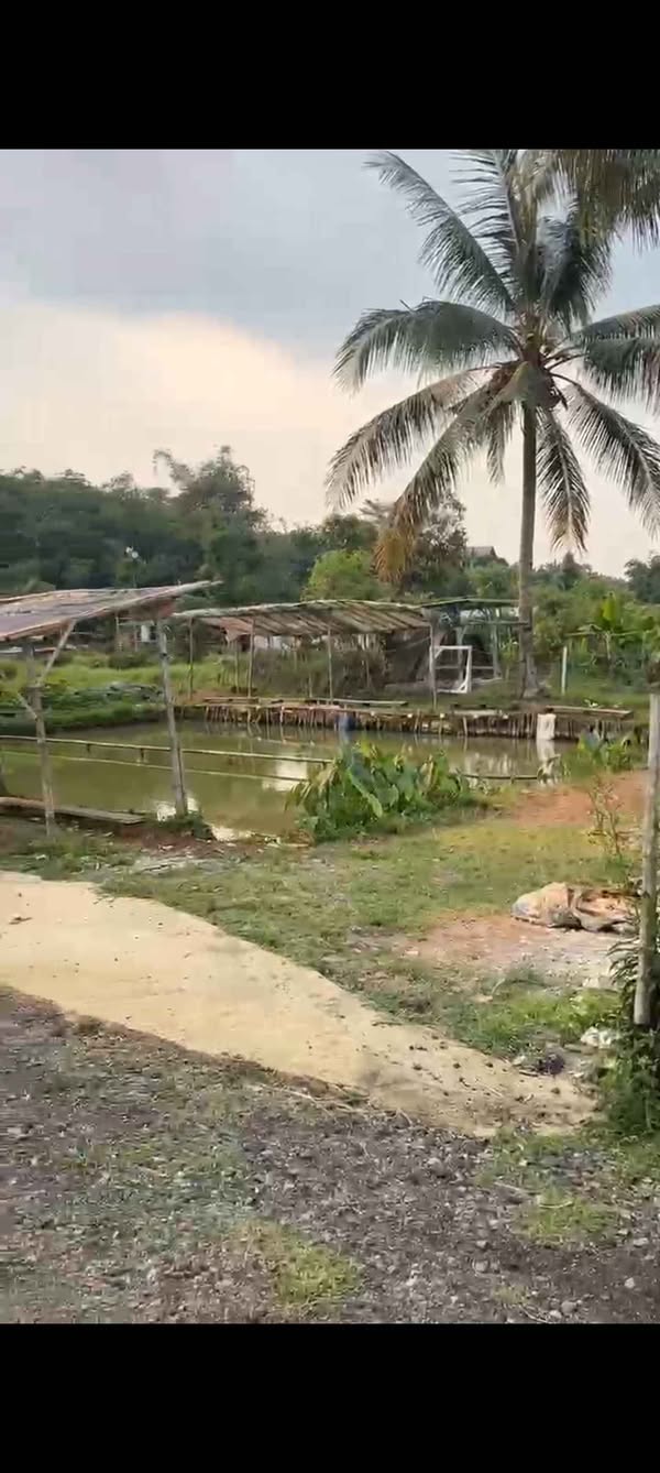 Dijual Jual Tanah dan Kolam Ikan Strategis di Bojong Gede