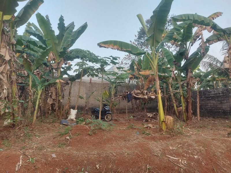 Dijual Jual Tanah dan Rumah Cibinong Bogor 1800m Girik Murah