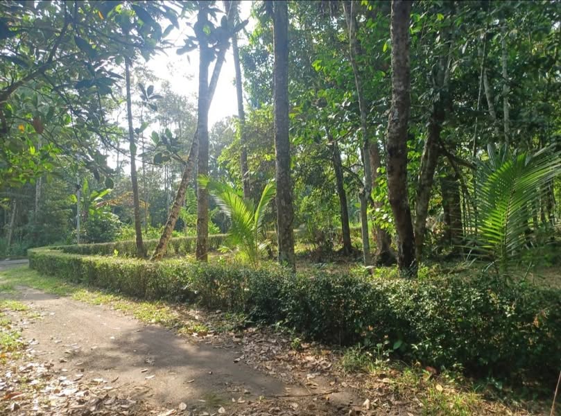 Dijual Tanah Pekarangan Luas SHM Hook Strategis di Mirit