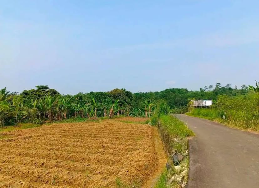 Dijual Tanah Kebun Datar Akses Mobil Murah di Jabodetabek