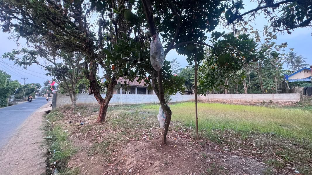 Dijual Tanah 440m2 SHM di Pondoksalam Wanayasa Purwakarta