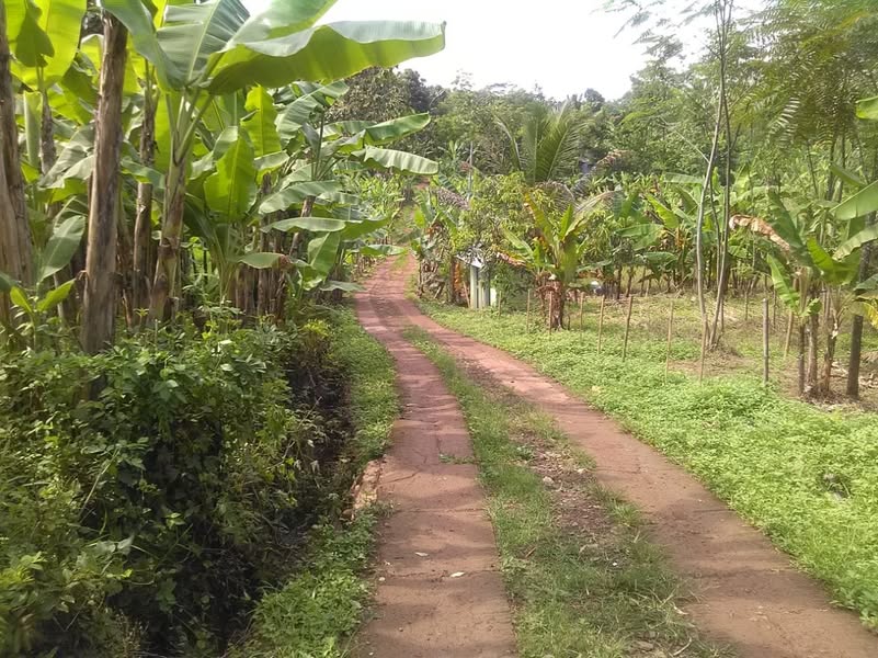 Dijual Tanah Murah 2 Ha Strategis di Cipatat Bandung Barat