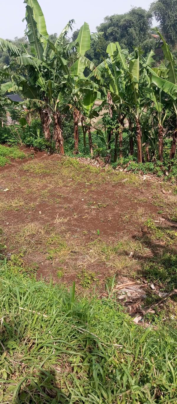 Dijual Tanah Luas 18 Tumbak Bersertifikat di Cimahi Cidahu