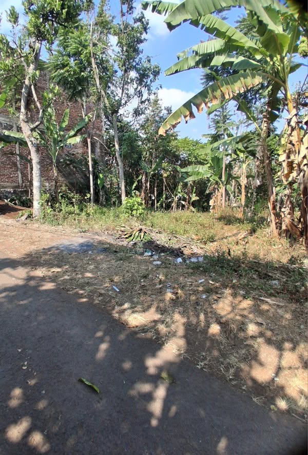 Dijual Jual Tanah Datar Pinggir Jalan Akses Mobil di