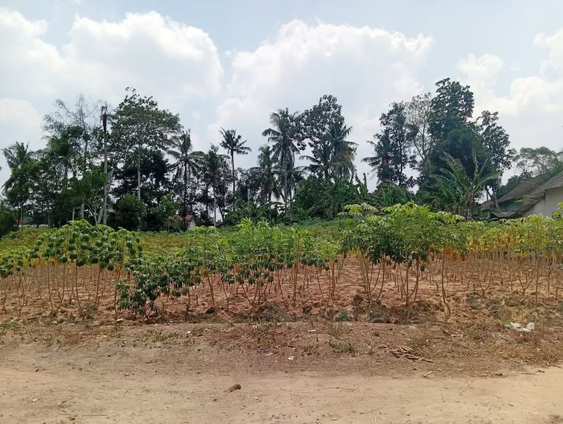 Dijual Tanah Kavling Strategis di Tunggal Warga Tulang