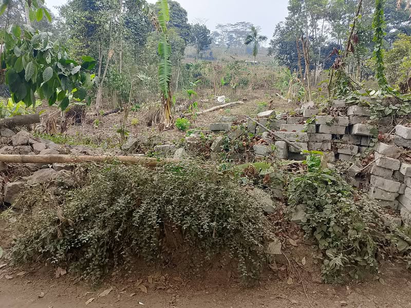 Dijual Tanah Padalarang Bandung Barat Cocok Investasi