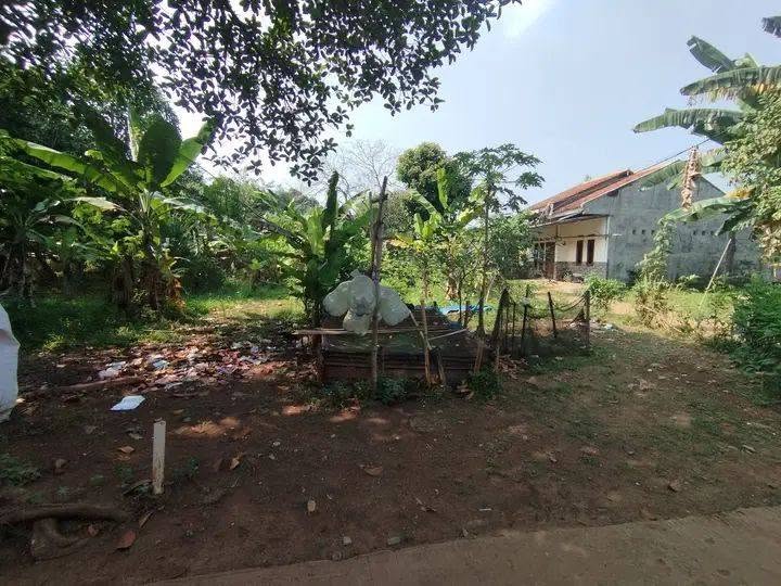 Dijual Tanah Kampung Mampir Cileungsi Luas 100m² Murah