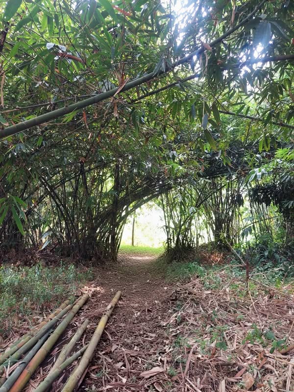 Dijual Tanah Murah BU di Rumpin Bogor SHM Luas 1787m2