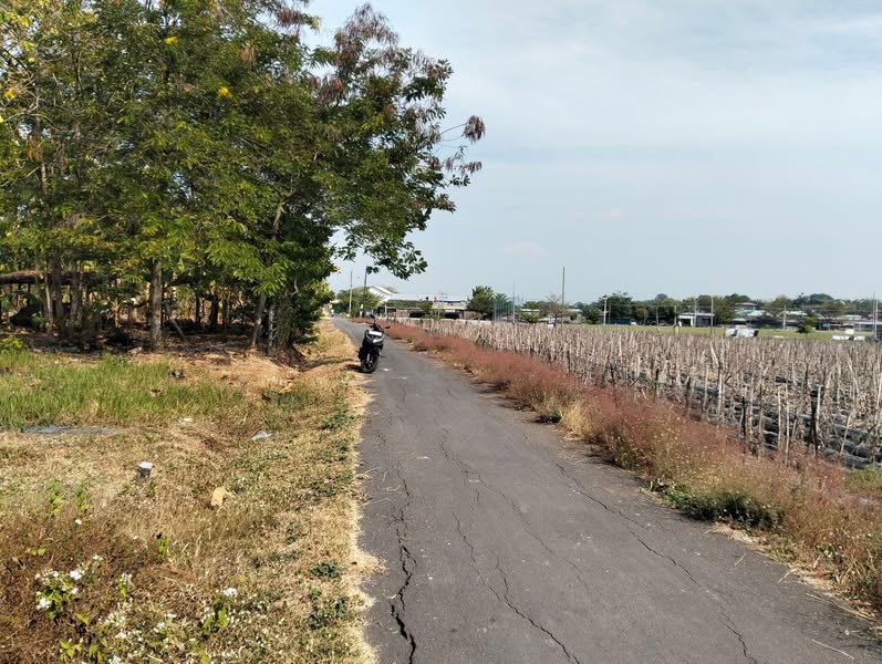 Dijual Jual Tanah Murah Dekat Pasar Godog Polokarto