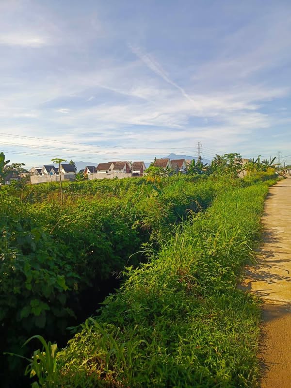 Dijual Tanah SHM Luas 2465m2 Akses Mobil di Tanah Sareal