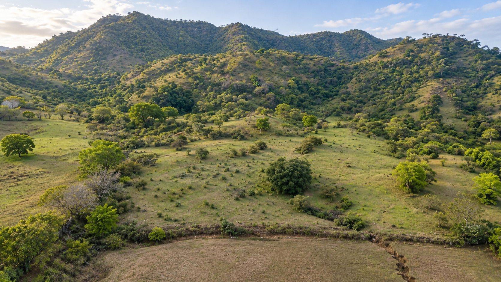 Tanah SHM 40.380 m² di Tuananga, Poto Tano, Sumbawa Barat