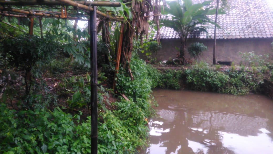 Tanah Siap Pakai