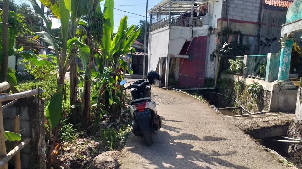 Foto 3 Dijual Tanah di KABUPATEN BOGOR - Di jual tanah sawah asri