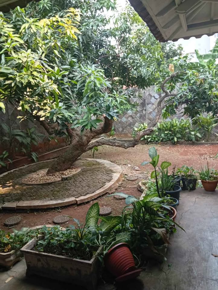 Foto 5 Dijual Rumah di KOTA BEKASI - Rumah Murah Siap Huni Bebas Banjir Komplek Bansepko Kranji Bekasi Kota