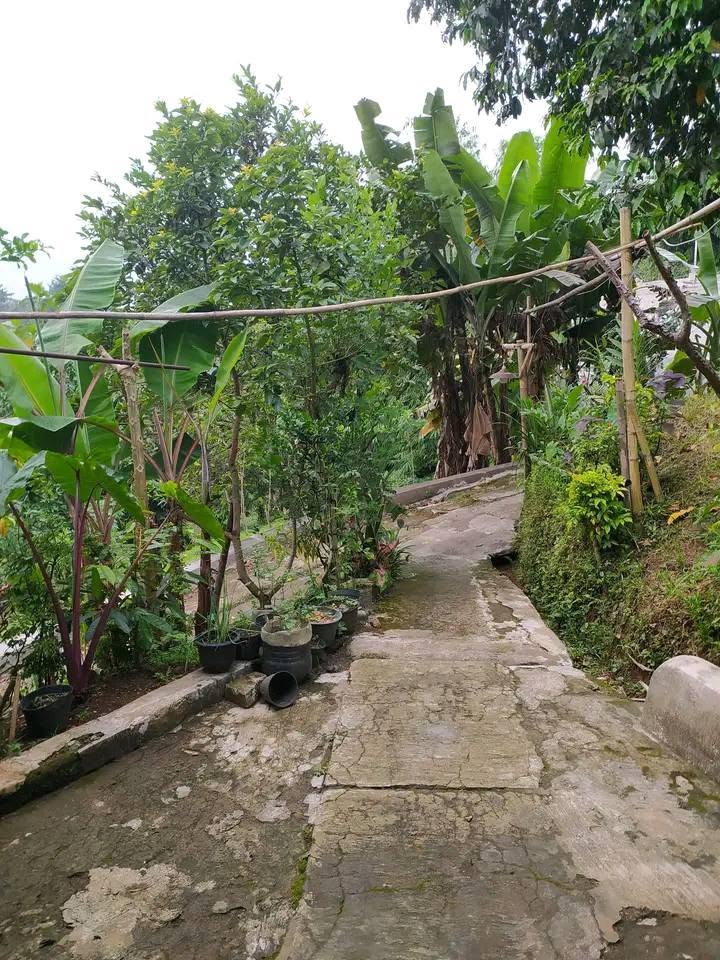 Foto 2 Dijual Rumah di KABUPATEN BOGOR - Dijual Rumah Lokasi salabenda Bogor