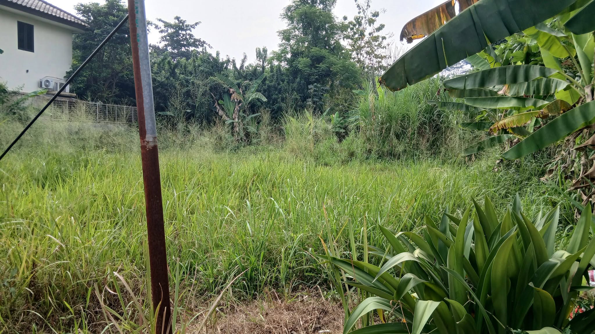 Foto 2 Dijual Tanah di KOTA BOGOR - Di Jual Cepat sebidang tanah di KAWASAN SITU GEDE KOTA BOGOR