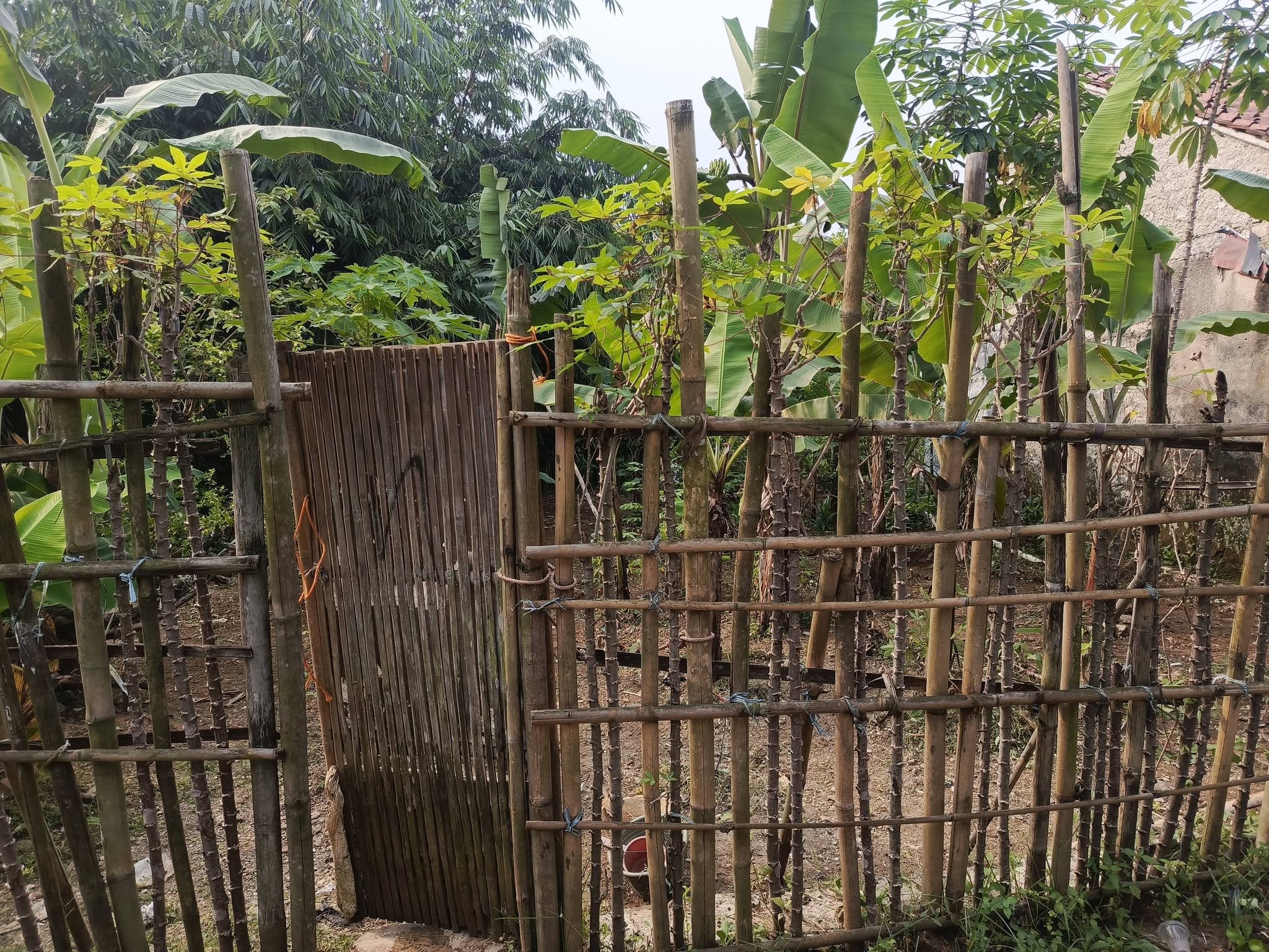 Foto 2 Dijual Tanah di KABUPATEN BOGOR - JUAL TANAH DEKET IPB DRAMAGA BOGOR