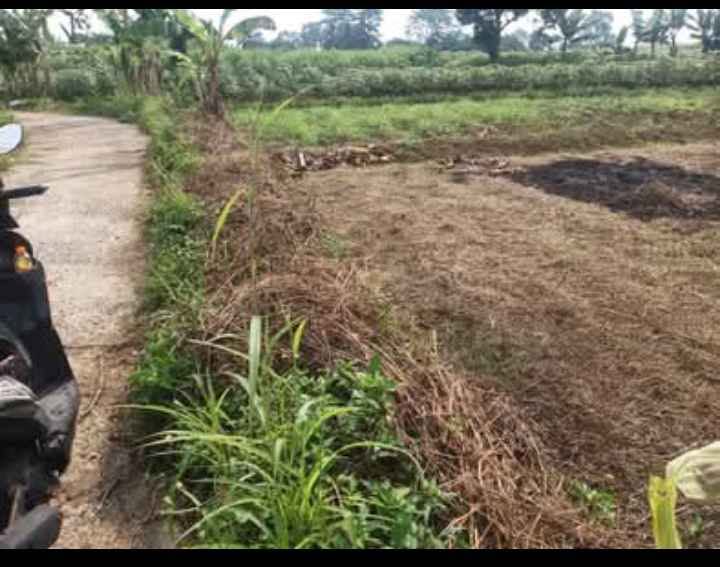 Foto 2 Dijual Tanah di KABUPATEN BOGOR - Dijual Tanah Luas 1.135Meter