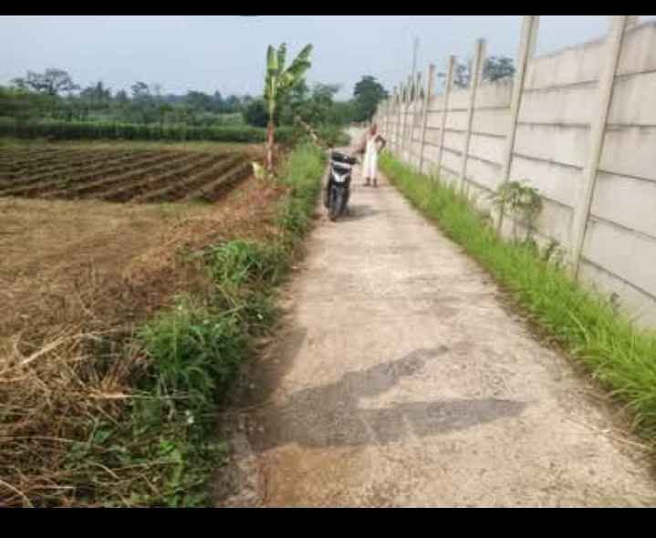 Foto 3 Dijual Tanah di KABUPATEN BOGOR - Dijual Tanah Luas 1.135Meter