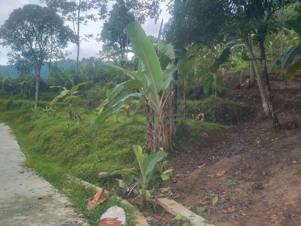 Foto 2 Dijual Tanah di KABUPATEN BOGOR - Dijual tanah dengan view yg menawan