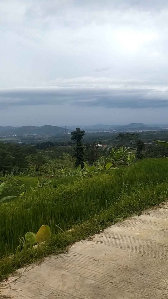 Foto 3 Dijual Tanah di KABUPATEN BOGOR - Dijual tanah dengan view yg menawan