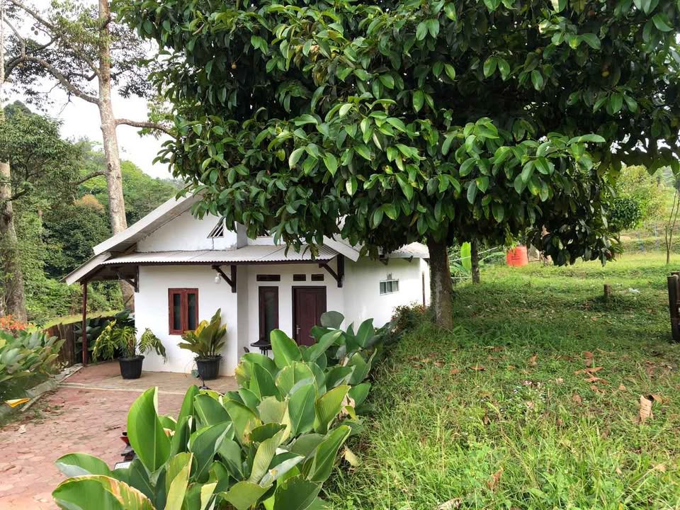 Di jual tanah murah dan bangunan