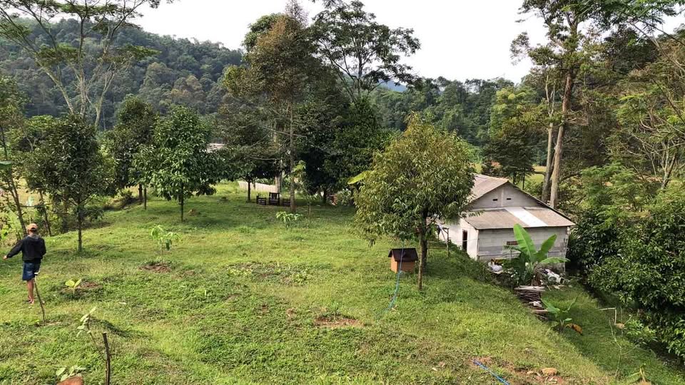 Foto 3 Dijual Rumah di KABUPATEN BOGOR - Di jual tanah murah dan bangunan