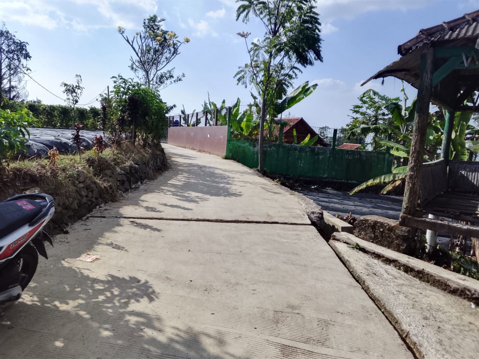 Foto 3 Dijual Tanah di KABUPATEN BOGOR - di jual tanah darat view gunung