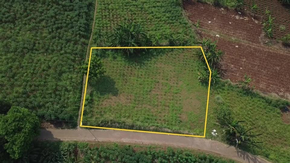 Dijual Tanah Pakansari akan Jadi CBD