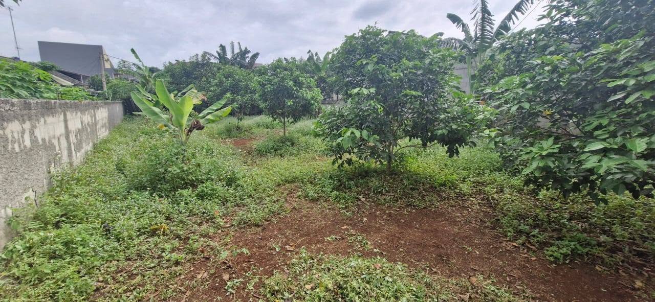 Dijual Tanah dekat dengan stadion pakansari