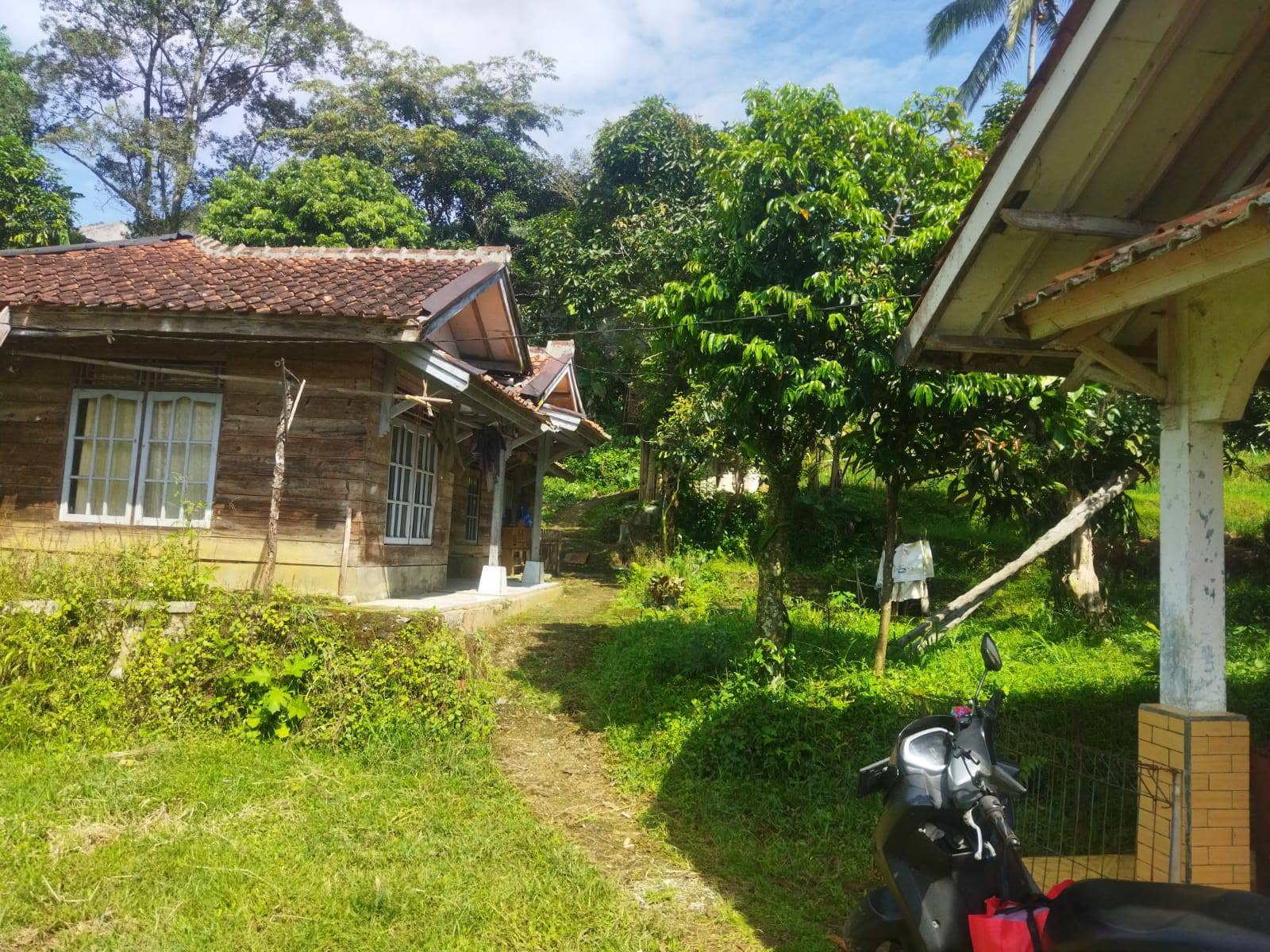 Dijual rumah panggung + halaman