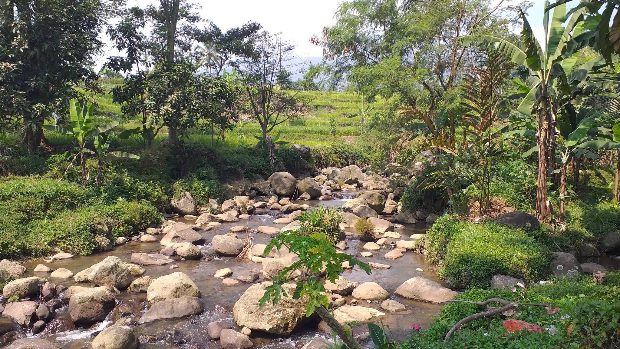 Dijual Tanah Asri Pinggir Sungai – Pamijahan, Bogor