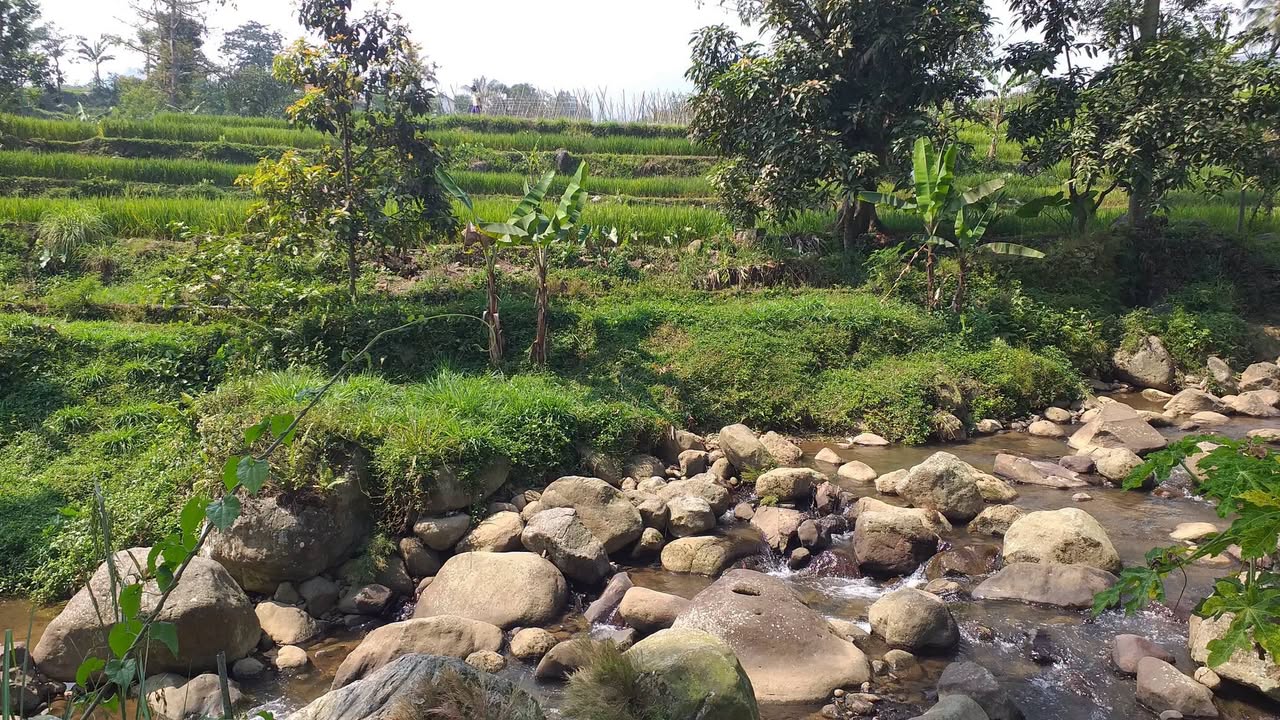 Foto 2 Dijual Tanah di KABUPATEN BOGOR - Dijual Tanah Asri Pinggir Sungai – Pamijahan, Bogor