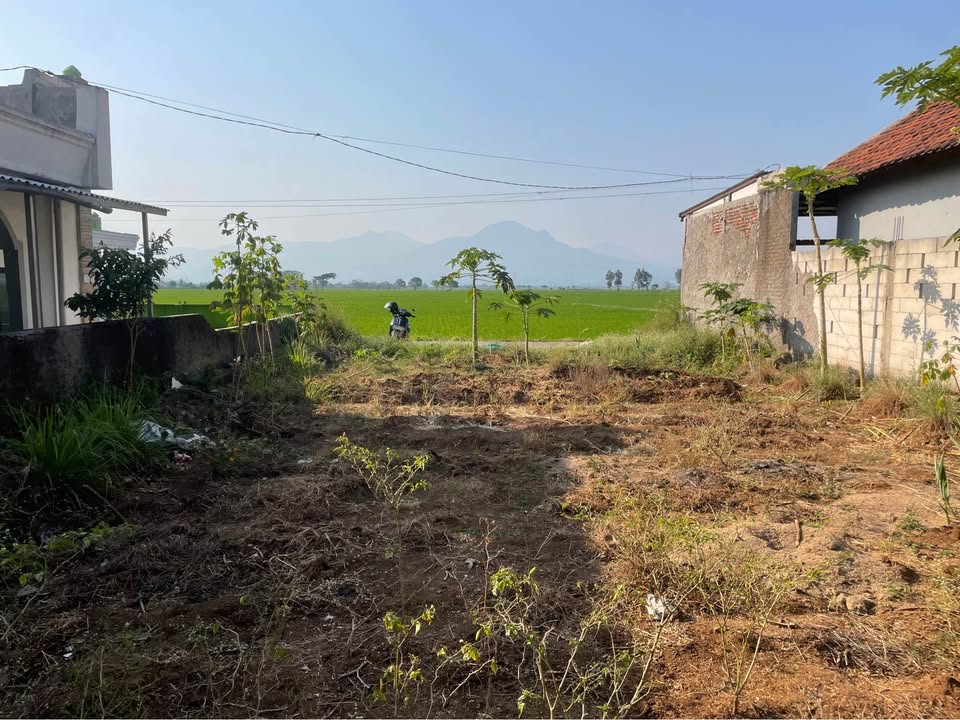 Foto 2 Dijual Tanah di KABUPATEN BANDUNG - TANAH DENGAN VIEW CANTIK RANCAEKEK