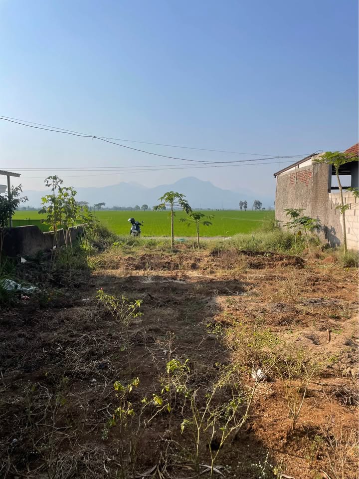 Foto 3 Dijual Tanah di KABUPATEN BANDUNG - TANAH DENGAN VIEW CANTIK RANCAEKEK