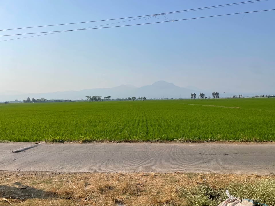 Foto 4 Dijual Tanah di KABUPATEN BANDUNG - TANAH DENGAN VIEW CANTIK RANCAEKEK