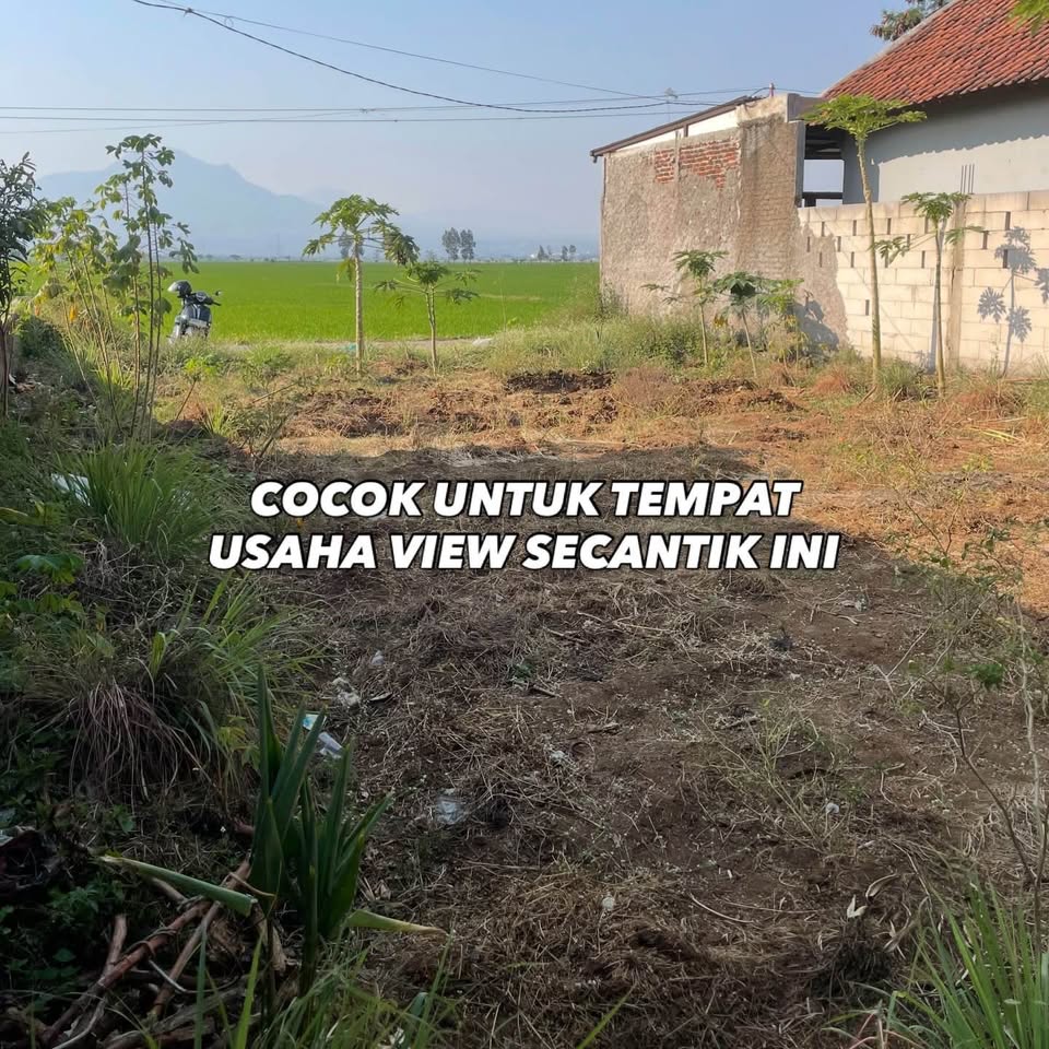 Foto 6 Dijual Tanah di KABUPATEN BANDUNG - TANAH DENGAN VIEW CANTIK RANCAEKEK