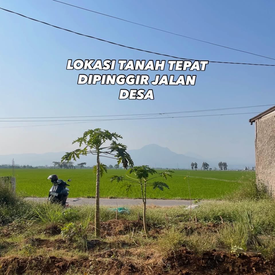 Foto 7 Dijual Tanah di KABUPATEN BANDUNG - TANAH DENGAN VIEW CANTIK RANCAEKEK